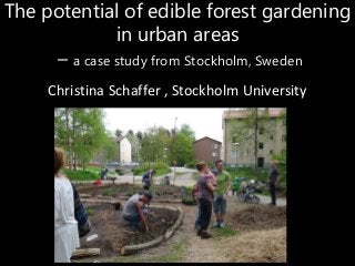 The potential of edible forest gardening
in urban areas
– a case study from Stockholm, Sweden
Christina Schaffer , Stockholm University
 
