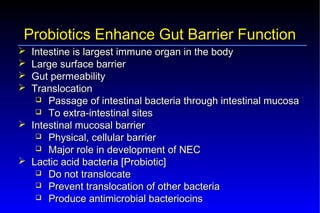 Probiotics – Prebiotics