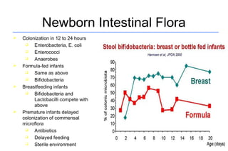 Probiotics – Prebiotics