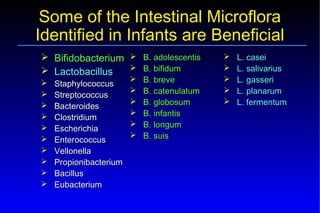 Probiotics – Prebiotics