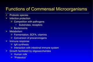 Probiotics – Prebiotics