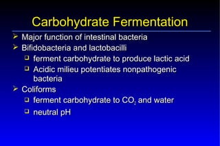 Probiotics – Prebiotics