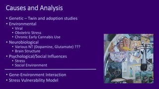 Causes and Analysis
• Genetic – Twin and adoption studies
• Environmental
• Viral
• Obstetric Stress
• Chronic Early Cannabis Use
• Neurobiological
• Various NT (Dopamine, Glutamate) ???
• Brain Structure
• Psychological/Social Influences
• Stress
• Social Environment
• Gene-Environment Interaction
• Stress Vulnerability Model
 