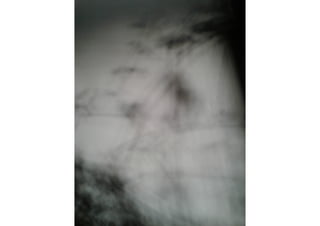 Schattenkunst Projekt