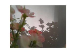 Schattenkunst Projekt