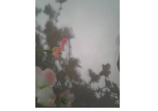 Schattenkunst Projekt