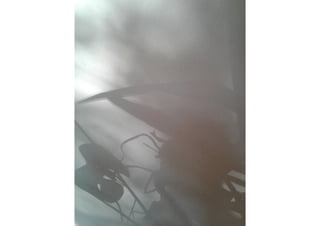 Schattenkunst Projekt