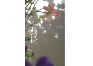 Schattenkunst Projekt