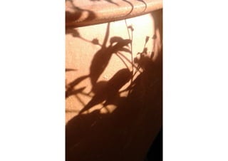 Schattenkunst Projekt