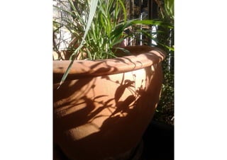 Schattenkunst Projekt