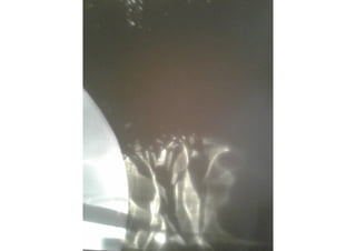 Schattenkunst Projekt