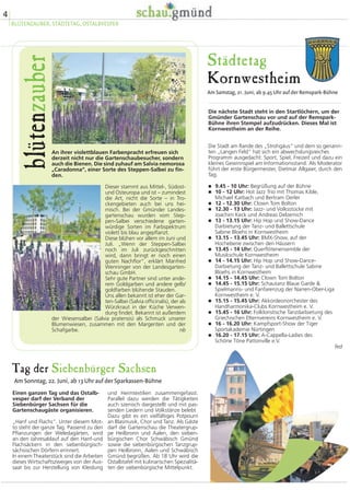 4
BLÜTENZAUBER, STÄDTETAG, OSTALBVESPER
Städtetag
Kornwestheim
Am Samstag, 21. Juni, ab 9.45 Uhr auf der Remspark-Bühne
Die nächste Stadt steht in den Startlöchern, um der
Gmünder Gartenschau vor und auf der Remspark-
Bühne ihren Stempel aufzudrücken. Dieses Mal ist
Kornwestheim an der Reihe.
Die Stadt am Rande des „Strohgäus“ und dem so genann-
ten „Langen Feld“ hat sich ein abwechslungsreiches
Programm ausgedacht: Sport, Spiel, Freizeit und dazu ein
kleines Gewinnspiel am Informationsstand. Als Moderator
führt der erste Bürgermeister, Dietmar Allgaier, durch den
Tag.
� 9.45 - 10 Uhr: Begrüßung auf der Bühne
� 10 - 12 Uhr: Hot Jazz Trio mit Thomas Kible,
Michael Karbach und Bertram Oerler
� 12 - 12.30 Uhr: Clown Tom Bolton
� 12.30 - 13 Uhr: Jazz- und Volksstücke mit
Joachim Keck und Andreas Delzemich
� 13 - 13.15 Uhr: Hip Hop und Show-Dance
Darbietung der Tanz- und Ballettschule
Sabine Bloehs in Kornwestheim
� 13.15 - 13.45 Uhr: BMX-Show, auf der
Hochebene zwischen den Häusern
� 13.45 - 14 Uhr: Querflötenensemble der
Musikschule Kornwestheim
� 14 - 14.15 Uhr: Hip Hop und Show-Dance-
Darbietung der Tanz- und Ballettschule Sabine
Bloehs in Kornwestheim
� 14.15 - 14.45 Uhr: Clown Tom Bolton
� 14.45 - 15.15 Uhr: Schautanz Blaue Garde &
Spielmanns- und Fanfarenzug der Narren-Ober-Liga
Kornwestheim e. V.
� 15.15 - 15.45 Uhr: Akkordeonorchester des
Handharmonika-Clubs Kornwestheim e. V.
� 15.45 - 16 Uhr: Folkloristische Tanzdarbietung des
Griechischen Elternvereins Kornwestheim e. V.
� 16 - 16.20 Uhr: Kampfsport-Show der Tiger
Sportakademie Nürtingen
� 16.20 - 17.15 Uhr: A-Cappella-Ladies des
Schöne Töne Pattonville e.V.
fed
An ihrer violettblauen Farbenpracht erfreuen sich
derzeit nicht nur die Gartenschaubesucher, sondern
auch die Bienen. Die sind zuhauf am Salvia nemorosa
„Caradonna“, einer Sorte des Steppen-Salbei zu fin-
den.
Dieser stammt aus Mittel-, Südost-
und Osteuropa und ist – zumindest
die Art, nicht die Sorte – in Tro-
ckengebieten auch bei uns hei-
misch. Bei der Gmünder Landes-
gartenschau wurden vom Step-
pen-Salbei verschiedene garten-
würdige Sorten im Farbspektrum
violett bis blau angepflanzt.
Diese blühen vor allem im Juni und
Juli. „Wenn der Steppen-Salbei
noch im Juli zurückgeschnitten
wird, dann bringt er noch einen
guten Nachflor“, erklärt Manfred
Wenninger von der Landesgarten-
schau GmbH.
Sehr gute Partner sind unter ande-
rem Goldgarben und andere gelb/
goldfarben blühende Stauden.
Uns allen bekannt ist eher der Gar-
ten-Salbei (Salvia officinalis), der als
Würzkraut in der Küche Verwen-
dung findet. Bekannt ist außerdem
der Wiesensalbei (Salvia pratensis) als Schmuck unserer
Blumenwiesen, zusammen mit den Margeriten und der
Schafgarbe. nb
blütenzauber
Tag der Siebenbürger Sachsen
Am Sonntag, 22. Juni, ab 13 Uhr auf der Sparkassen-Bühne
und Heimtextilien zusammengefasst.
Parallel dazu werden die Tätigkeiten
auch szenisch dargestellt und mit pas-
senden Liedern und Volkstänze belebt
Dazu gibt es ein vielfältiges Potpourri
an Blasmusik, Chor und Tanz. Als Gäste
darf die Gartenschau die Theatergrup-
pe Heilbronn und Aalen, den sieben-
bürgischen Chor Schwäbisch Gmünd
sowie die siebenbürgischen Tanzgrup-
pen Heilbronn, Aalen und Schwäbisch
Gmünd begrüßen. Ab 18 Uhr wird die
Ostalbtafel mit kulinarischen Spezialitä-
ten der siebenbürgische Mittelpunkt.
Einen ganzen Tag und das Ostalb-
vesper darf der Verband der
Siebenbürger Sachsen für die
Gartenschaugäste organisieren.
„Hanf und Flachs“. Unter diesem Mot-
to steht der ganze Tag. Passend zu den
Pflanzungen der Weledagärten, wird
an den Jahresablauf auf den Hanf-und
Flachsäckern in den siebenbürgisch-
sächsischen Dörfern erinnert.
In einem Theaterstück sind die Arbeiten
dieses Wirtschaftszweiges von der Aus-
saat bis zur Herstellung von Kleidung
 