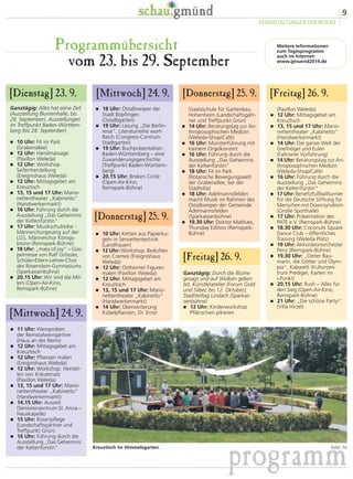 6 
STADTTEILTAG LINDACH 
 