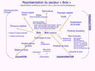 Représentation du secteur « Bois »   Représentation simplifiée du domaine « bois », pour des raisons pédagogiques Produits...
