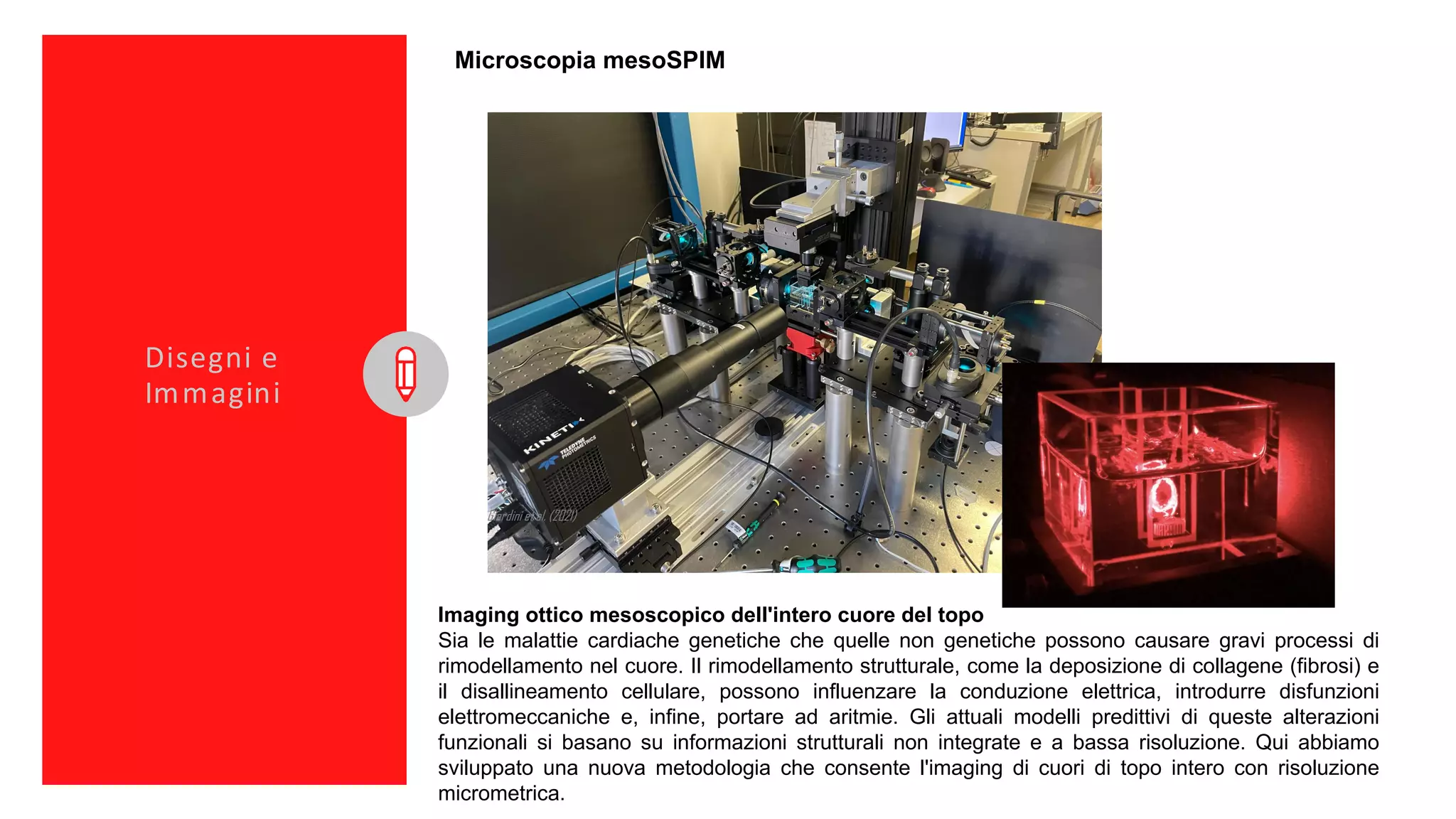 Cardiac Imaging Lab | PDF