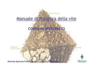 Manuale di Potatura della vite

                     CORDONE SPERONATO




Azienda Agricola Fratelli Muratori (inverno 2009-2010)
 