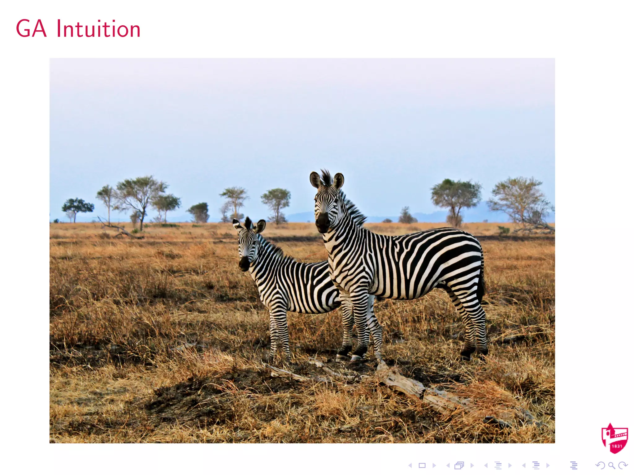 GA Intuition
 