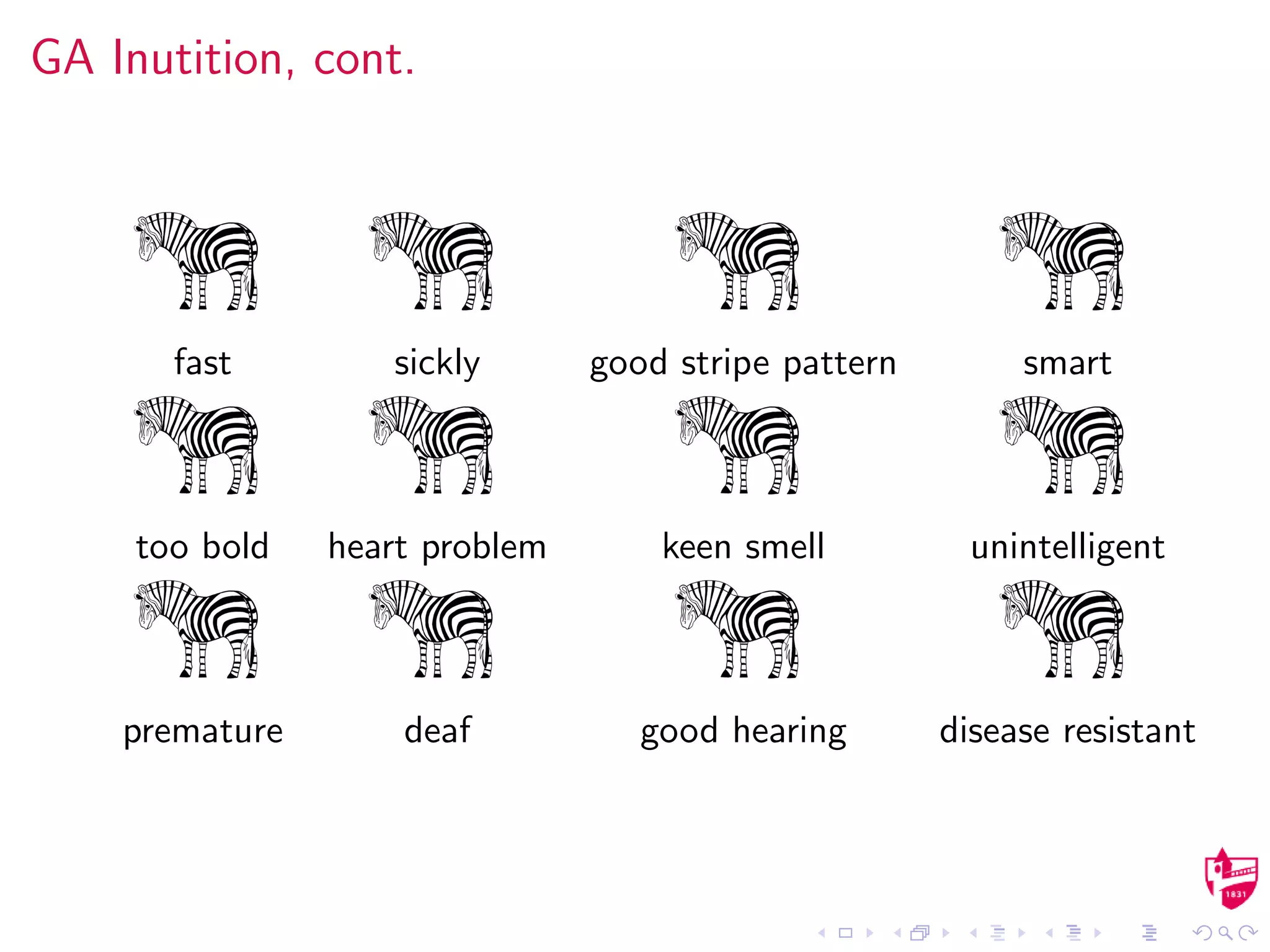 GA Inutition, cont.
fast sickly good stripe pattern smart
too bold heart problem keen smell unintelligent
premature deaf good hearing disease resistant
 