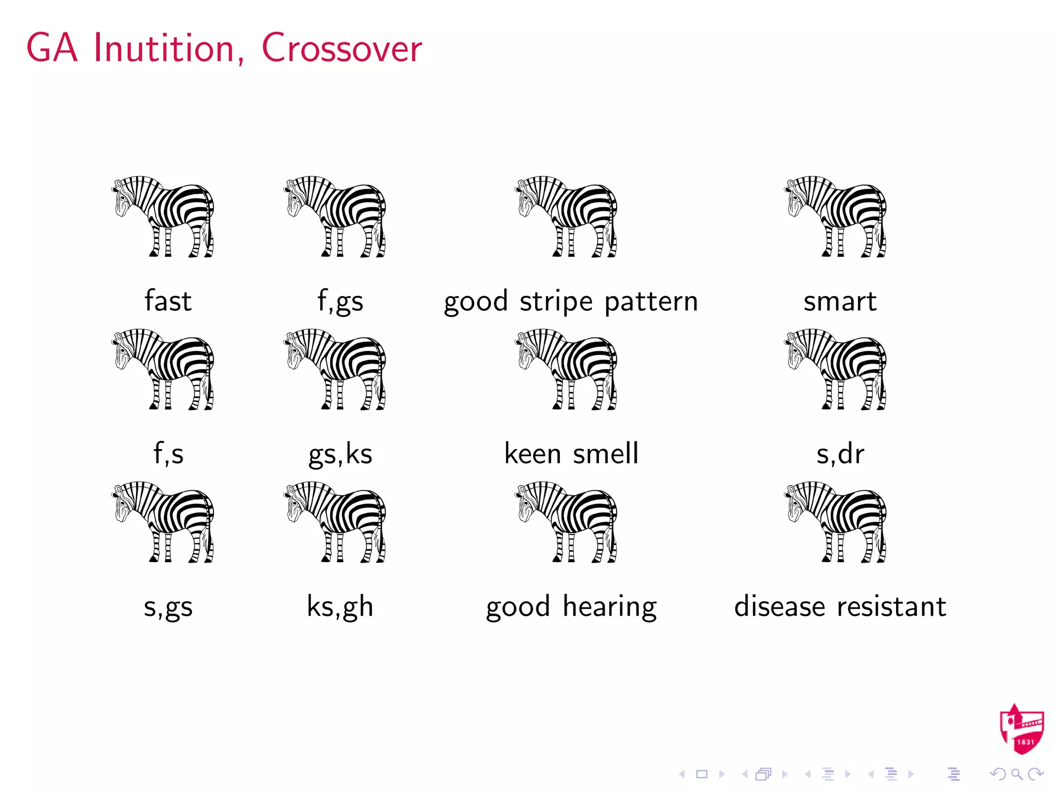 GA Inutition, Crossover
fast f,gs good stripe pattern smart
f,s gs,ks keen smell s,dr
s,gs ks,gh good hearing disease resistant
 