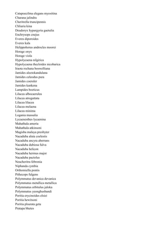 Catapoecilma elegans myositina
Charana jalindra
Cheritrella truncipennis
Chliaria kina
Deudoryx hypargyria gaetulia
Enchrysops cnejus
Everes diporoides
Everes kala
Helippohorus androcles moorei
Horage onyx
Horage viola
Hypolycaena nilgirica
Hypolycaena thecloides nicobarica
Iraota rochana boswelliana
Jamides alectokandulana
Jamides celeodus pura
Jamides coeruler
Jamides kankena
Lampides boeticus
Lilacea albocaerulea
Lilacea atroguttata
Lilacea lilacea
Lilacea melaena
Lilacea minima
Logania massalia
Lycaenesthes lycaenina
Mahathala ameria
Mahathala atkinsoni
Magisba malaya presbyter
Nacaduba aluta coelestis
Nacaduba ancyra aberrans
Nacaduba dubiosa fulva
Nacaduba helicon
Nacaduba hermus major
Nacaduba pactolus
Neucheritra febronia
Niphanda cymbia
Orthomiella pontis
Pithecops fulgens
Polymmatus devanica devanica
Polymmatus metallica metallica
Polymmatus orbitulus jaloka
Polymmatus yeonghusbandi
Poritia erycinoides elsiei
Poritia hewitsoni
Poritia plsurata geta
Pratapa bhetes
 