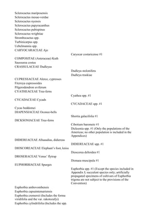 Sclerocactus mariposensis
Sclerocactus mesae-verdae
Sclerocactus nyensis
Sclerocactus papyracanthus
Sclerocactus pubispinus
Sclerocactus wrightiae
Strombocactus spp.
Turbinicarpus spp.
Uebelmannia spp.
CARYOCARACEAE Ajo
                                             Caryocar costaricense #1
COMPOSITAE (Asteraceae) Kuth
Saussurea costus
CRASSULACEAE Dudleyas
                                             Dudleya stolonifera
                                             Dudleya traskiae
CUPRESSACEAE Alerce, cypresses
Fitzroya cupressoides
Pilgerodendron uviferum
CYATHEACEAE Tree-ferns
                                             Cyathea spp. #1
CYCADACEAE Cycads
                                             CYCADACEAE spp. #1
Cycas beddomei
DIAPENSIACEAE Oconee-bells
                                             Shortia galacifolia #1
DICKSONIACEAE Tree-ferns
                                             Cibotium barometz #1
                                             Dicksonia spp. #1 (Only the populations of the
                                             Americas; no other population is included in the
                                             Appendices)
DIDIEREACEAE Alluaudias, didiereas
                                             DIDIEREACEAE spp. #1
DIOSCOREACEAE Elephant‟s foot, kniss
                                             Dioscorea deltoidea #1
DROSERACEAE Venus‟ flytrap
                                             Dionaea muscipula #1
EUPHORBIACEAE Spurges
                                             Euphorbia spp. #1 (Except the species included in
                                             Appendix I; succulent species only; artificially
                                             propagated specimens of cultivars of Euphorbia
                                             trigona are not subject to the provisions of the
                                             Convention)
Euphorbia ambovombensis
Euphorbia capsaintemariensis
Euphorbia cremersii (Includes the forma
viridifolia and the var. rakotozafyi)
Euphorbia cylindrifolia (Includes the spp.
 