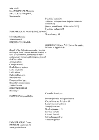 Aloe vossii
MAGNOLIACEAE Magnolia
MELIACEAE Mahoganies,
Spanish cedar
                                                Swietenia humilis #1
                                                Swietenia macrophylla #6 (Populations of the
                                                Neotropics)
                                                [Enters into effect on 15 November 2003]
                                                Swietenia mahagoni #5
NEPENTHACEAE Pitcher-plants (Old World)
                                                Nepenthes spp. #1
Nepenthes khasiana
Nepenthes rajah
ORCHIDACEAE Orchids
                                                ORCHIDACEAE spp. 8 #8 (Except the species
                                                included in Appendix I)
(For all of the following Appendix-I species,
seedling or tissue cultures obtained in vitro, in
solid or liquid media, transported in sterile
containers are not subject to the provisions of
the Convention)
Aerangis ellisii
Cattleya trianaei
Dendrobium cruentum
Laelia jongheana
Laelia lobata
Paphiopedilum spp.
Peristeria elata
Phragmipedium spp.
Renanthera imschootiana
Vanda coerulea
OROBANCHACEAE
Broomrape
                                                Cistanche deserticola
PALMAE (Arecaceae) Palms
                                                Beccariophoenix madagascariensis
                                                Chrysalidocarpus decipiens #1
                                                Lemurophoenix halleuxii
                                                Marojejya darianii
                                                Neodypsis decaryi #1
                                                Ravenea louvelii
                                                Ravenea rivularis
                                                Satranala decussilvae
                                                Voanioala gerardii
PAPAVERACEAE Poppy
PINACEAE Guatemala fir
Abies guatemalensis
 