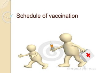 Schedule of vaccination 
 