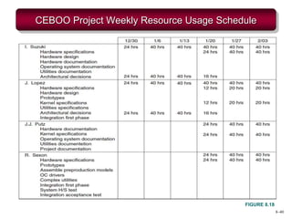8–40
CEBOO Project Weekly Resource Usage Schedule
FIGURE 8.18
 