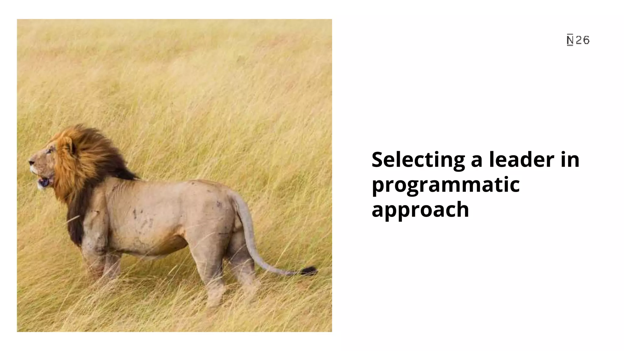 Selecting a leader in programmatic approach 