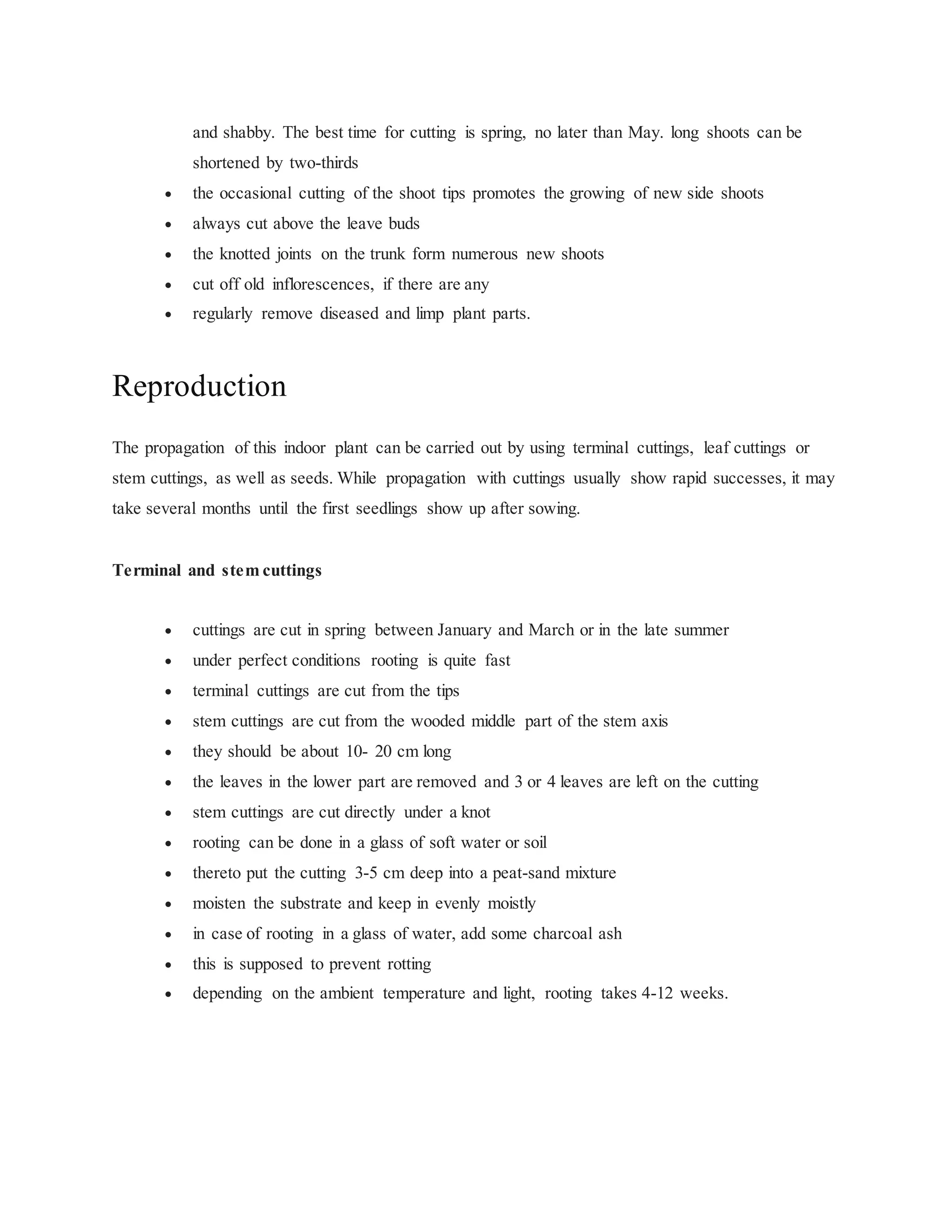Schefflera PDF