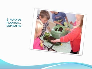 É HORA DE
PLANTAR...
ESPINAFRE
 
