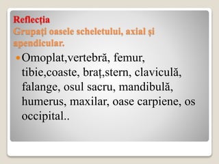 Reflecția
Grupați oasele scheletului, axial și
apendicular.
Omoplat,vertebră, femur,
tibie,coaste, braț,stern, claviculă,
falange, osul sacru, mandibulă,
humerus, maxilar, oase carpiene, os
occipital..
 