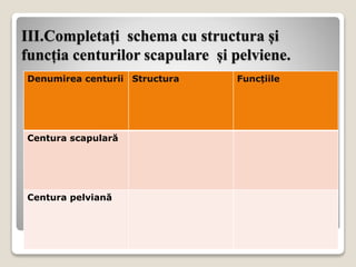 III.Completați schema cu structura și
funcția centurilor scapulare și pelviene.
Denumirea centurii Structura Funcțiile
Centura scapulară
Centura pelviană
 