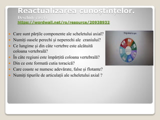 Reactualizarea cunoștințelor.
Deschide caseta
https://wordwall.net/ro/resource/20938932
 Care sunt părțile componente ale scheletului axial?
 Numiți oasele perechi și neperechi ale craniului?
 Ce lungime și din câte vertebre este alcătuită
coloana vertebrală?
 În câte regiuni este împărțită coloana vertebrală?
 Din ce este formată cutia toracică?
 Care coaste se numesc adevărate, false și flotante?
 Numiți tipurile de articulații ale scheletului axial ?
 
