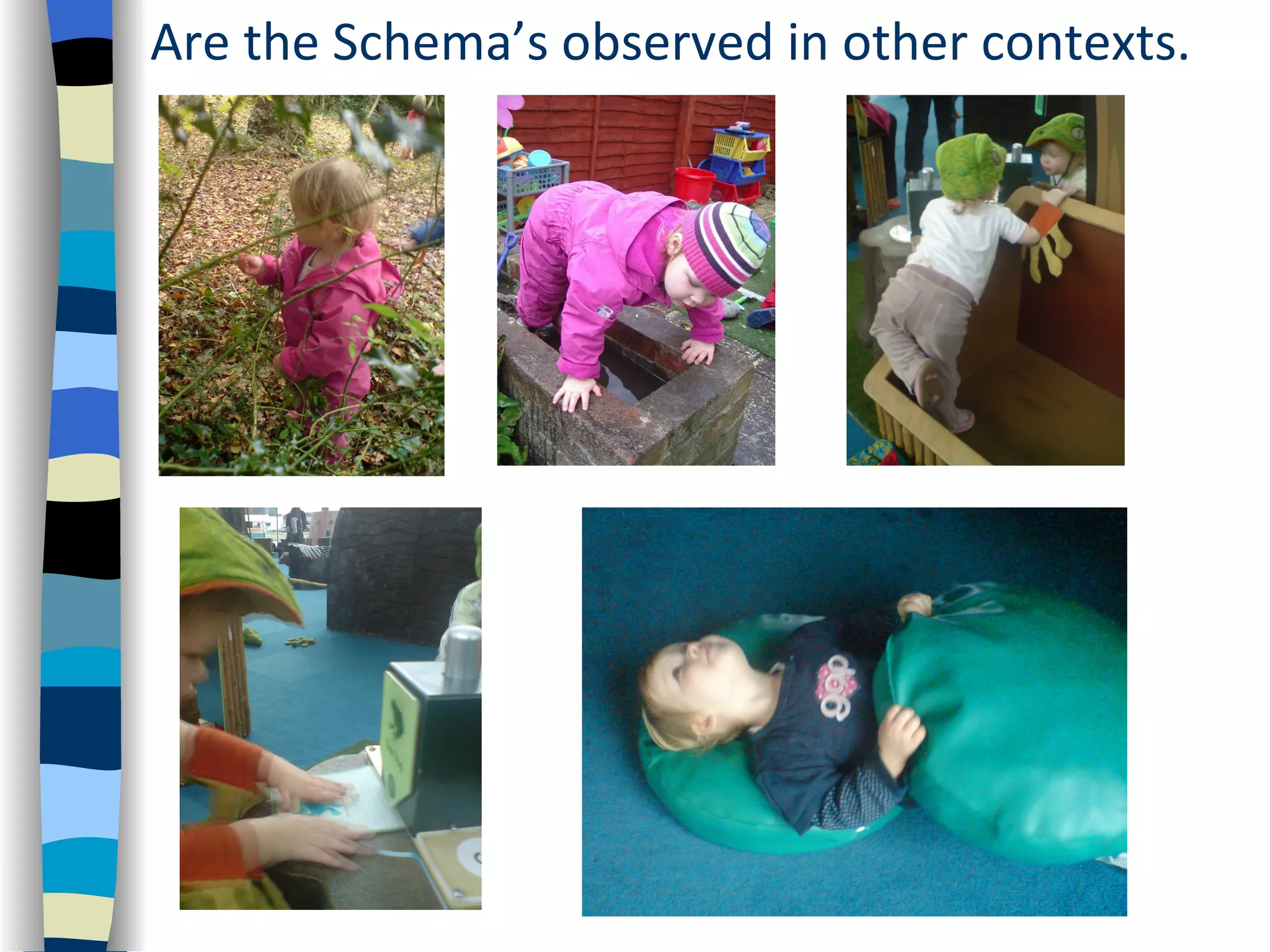Are the Schema’s observed in other contexts.
 