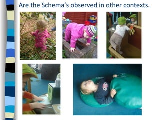 Are the Schema’s observed in other contexts.
 