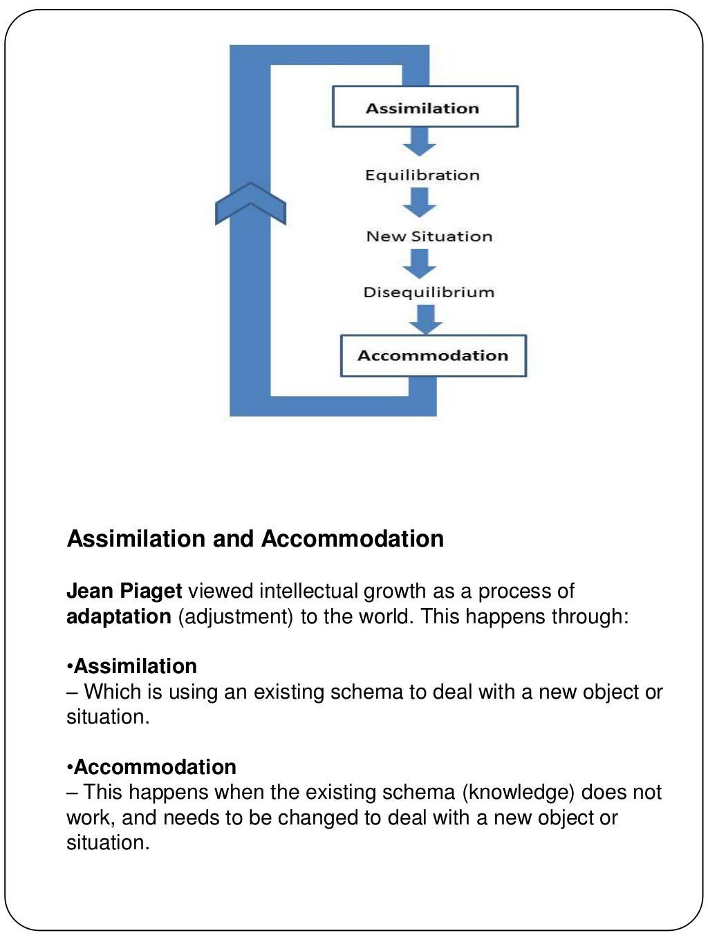 social schema definition