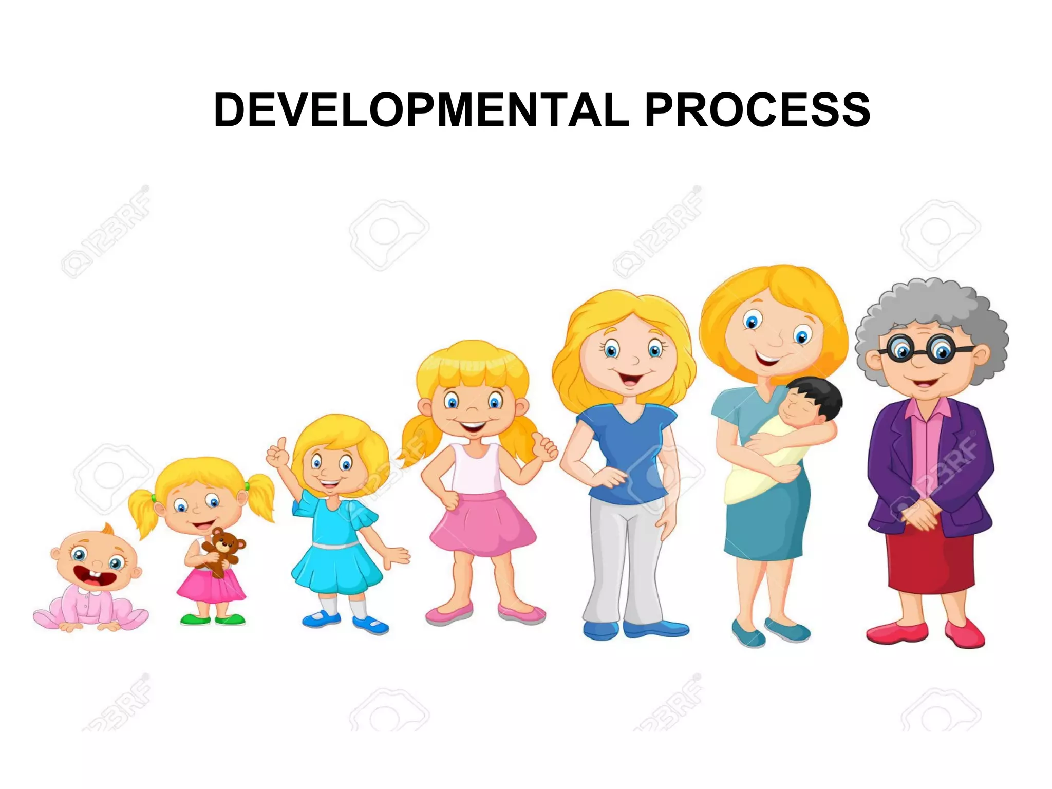 DEVELOPMENTAL PROCESS
 