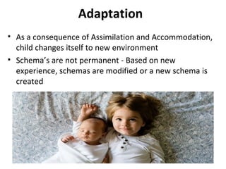 Adaptation
• As a consequence of Assimilation and Accommodation,
child changes itself to new environment
• Schema’s are not permanent - Based on new
experience, schemas are modified or a new schema is
created
 