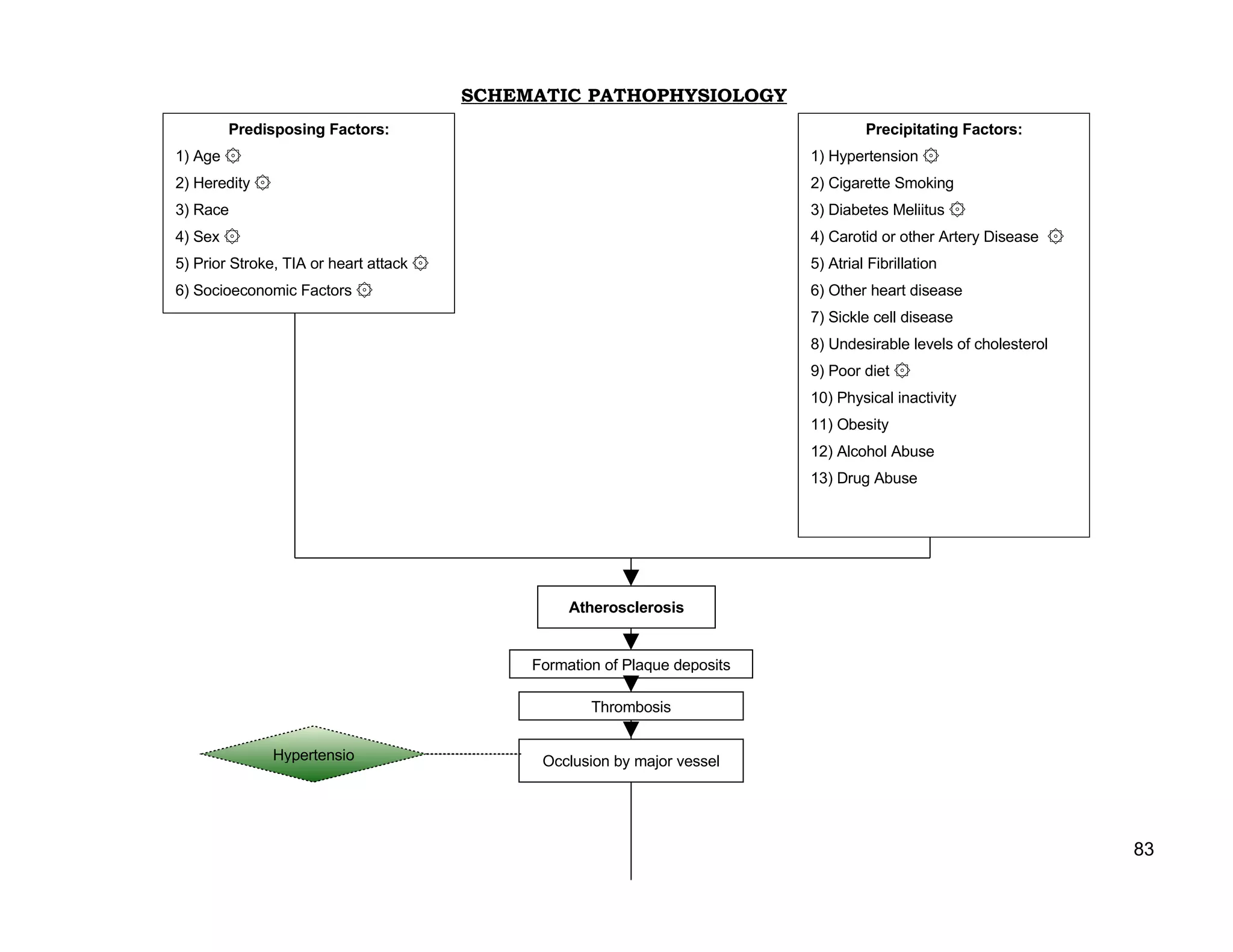 Schematic Pathophysiology Cva