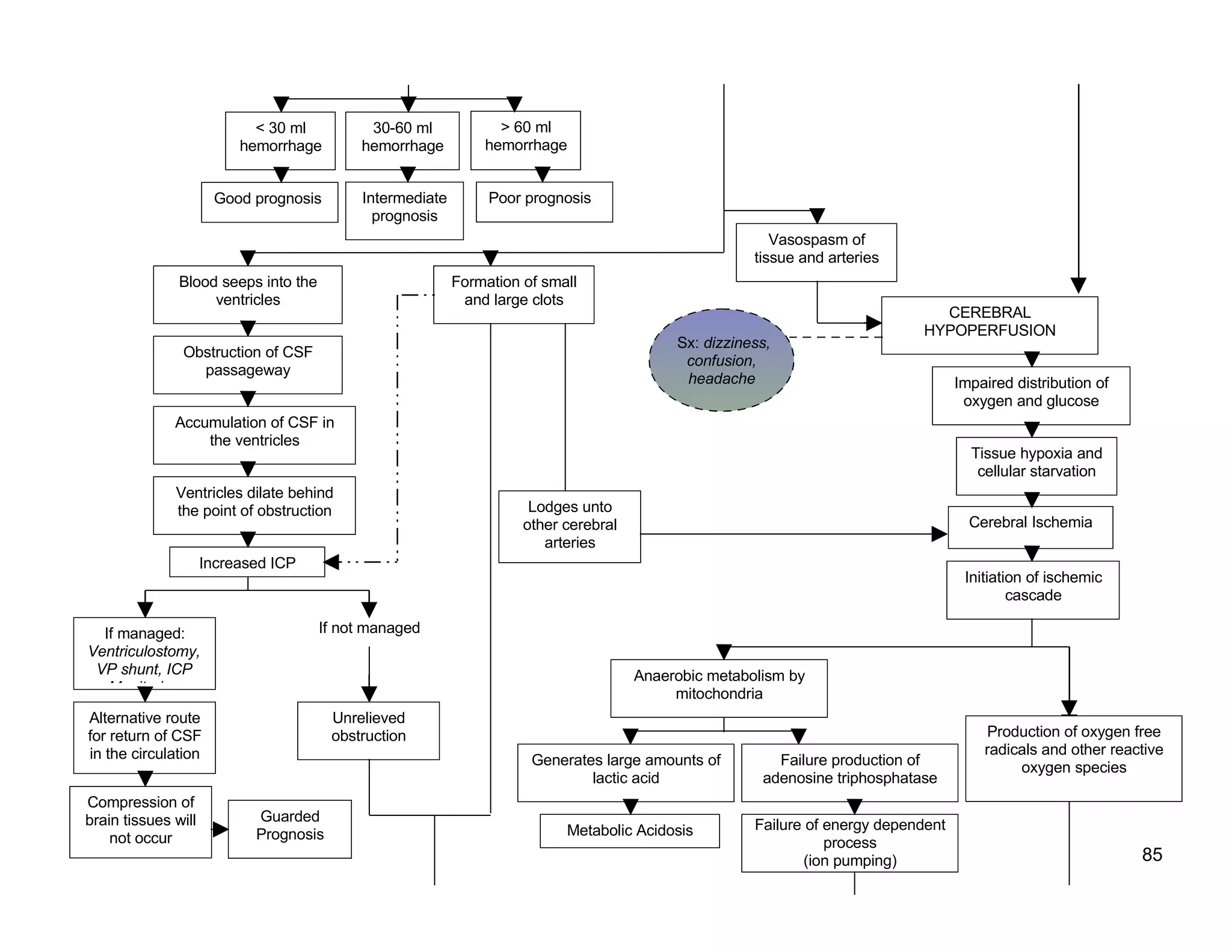 Schematic Pathophysiology Cva
