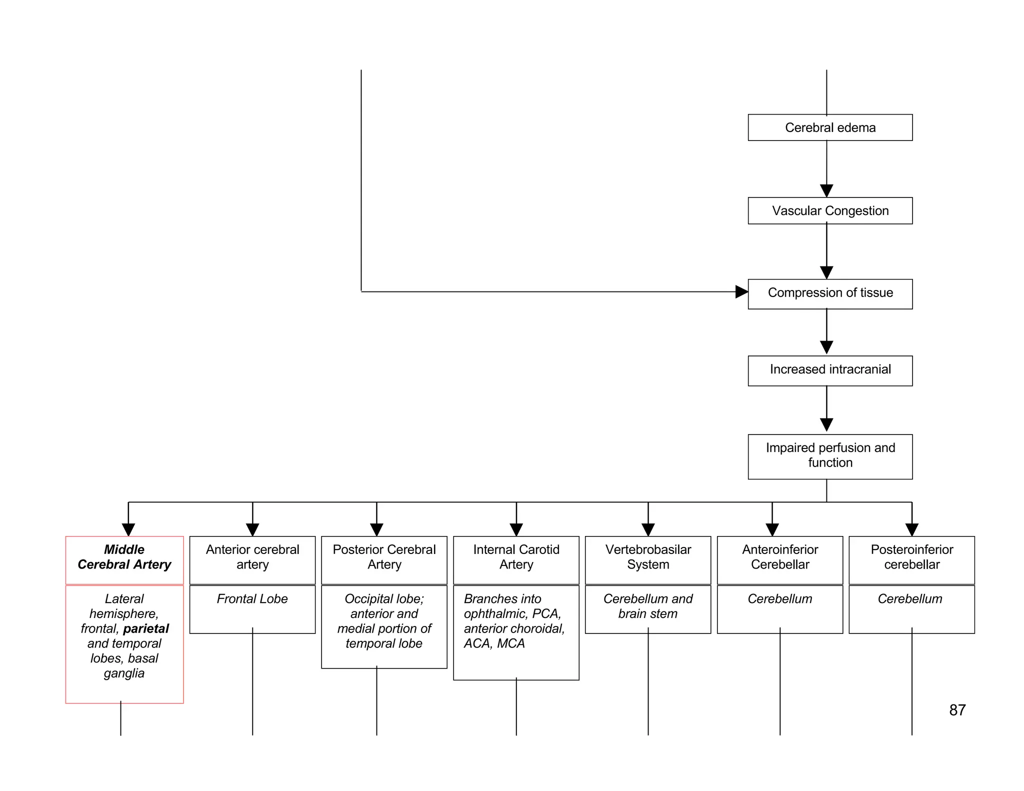 Schematic Pathophysiology Cva