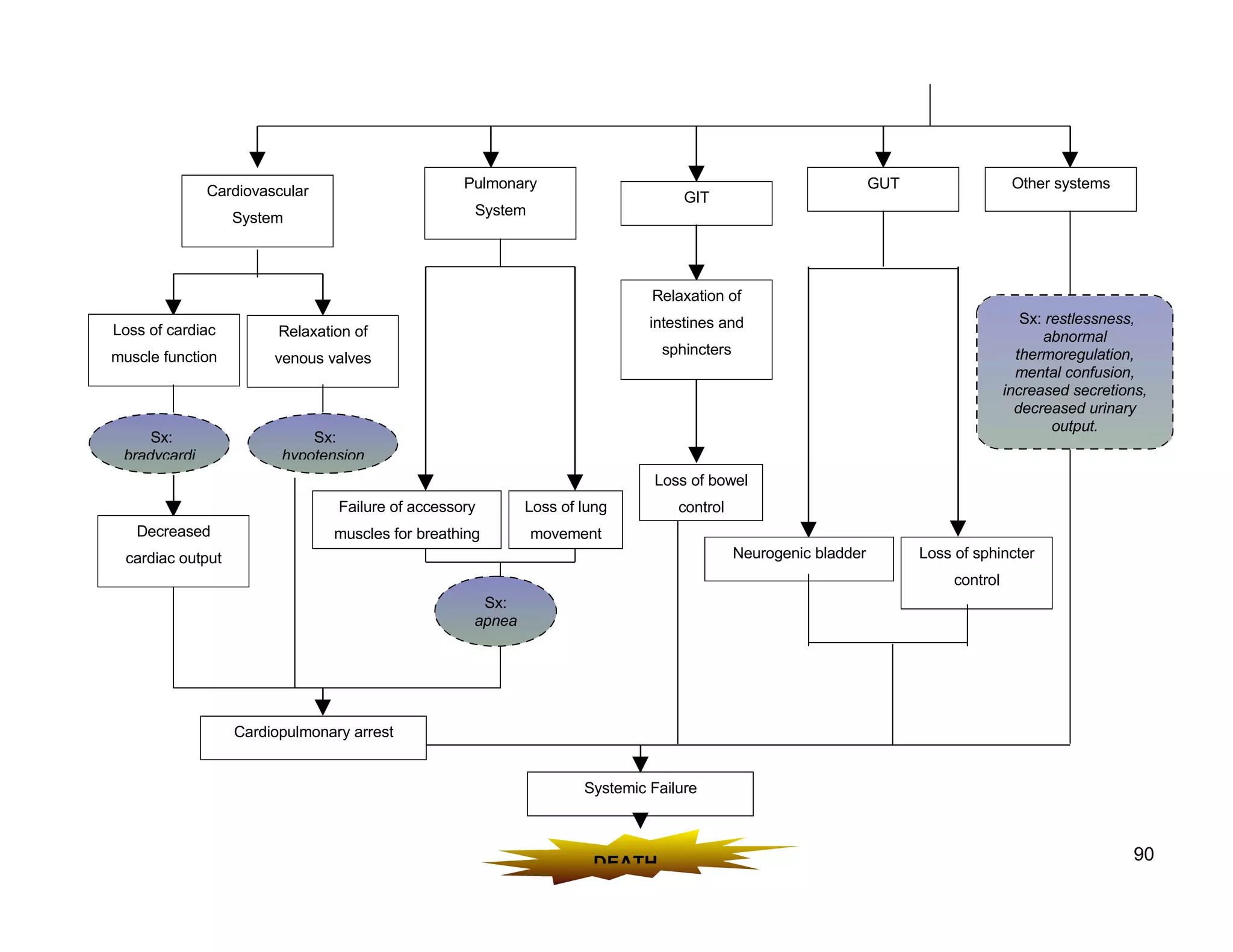 Schematic Pathophysiology Cva