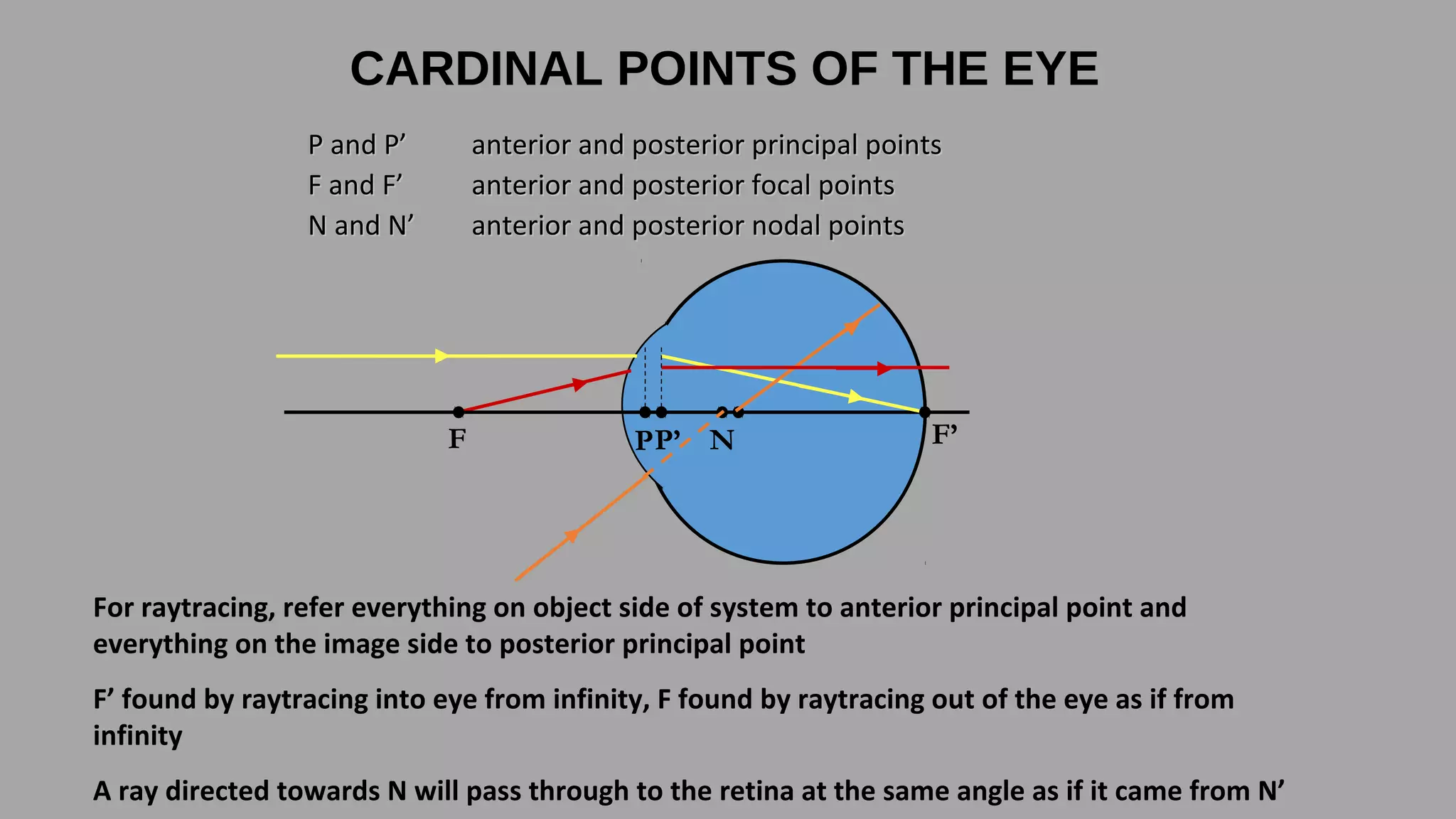 CARDINAL POINTS OF THE EYE
P and P’
F and F’
N and N’

anterior and posterior principal points
anterior and posterior focal points
anterior and posterior nodal points

F

P P’ N

F’

For raytracing, refer everything on object side of system to anterior principal point and
everything on the image side to posterior principal point
F’ found by raytracing into eye from infinity, F found by raytracing out of the eye as if from
infinity
A ray directed towards N will pass through to the retina at the same angle as if it came from N’

 