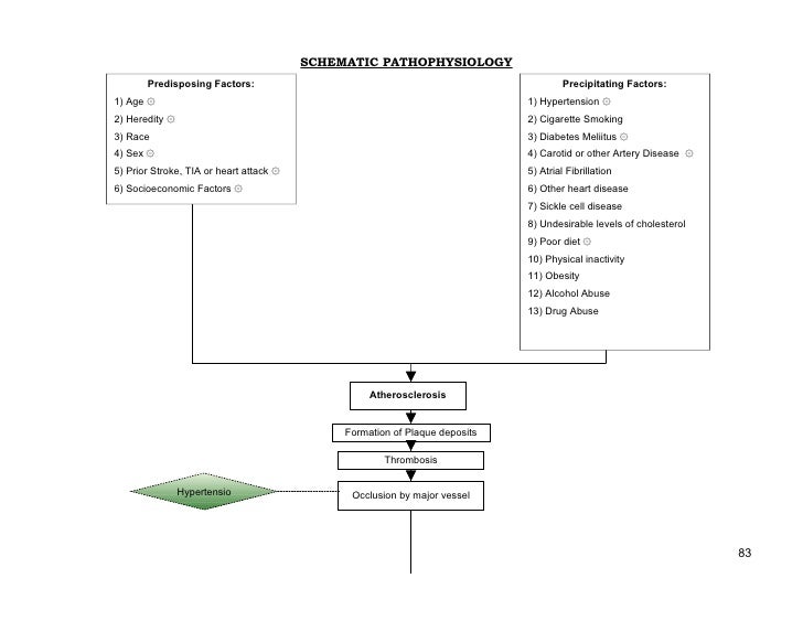 Cva Wolf Trigger Assembly Diagram - Diagram Resource Gallery