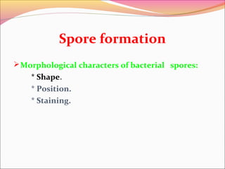 Spore formation
 Morphological characters of bacterial spores:

* Shape.
* Position.
* Staining.

 