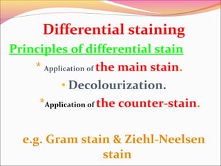 Differential staining
Principles of differential stain
* Application of the main stain.
• Decolourization.
*Application of the counter-stain.
e.g. Gram stain & Ziehl-Neelsen
stain

 