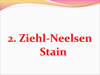 2. Ziehl-Neelsen
Stain

 