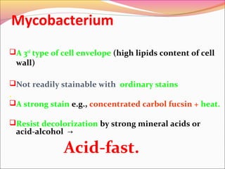 Mycobacterium
A 3rd type of cell envelope (high lipids content of cell

wall)

Not readily stainable with ordinary stains

.

A strong stain e.g., concentrated carbol fucsin + heat.
Resist decolorization by strong mineral acids or

acid-alcohol →

Acid-fast.

 