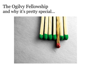 The Ogilvy Fellowship
and why it’s pretty special...
 